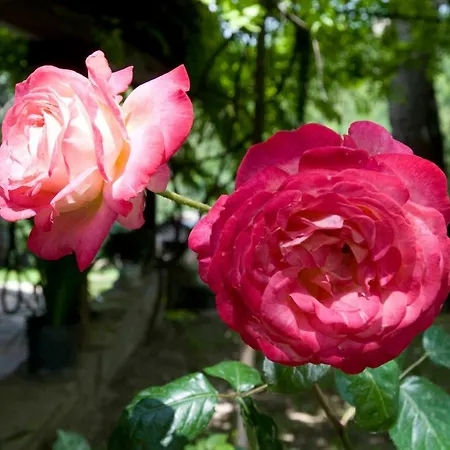 בית נופש La Cappellania