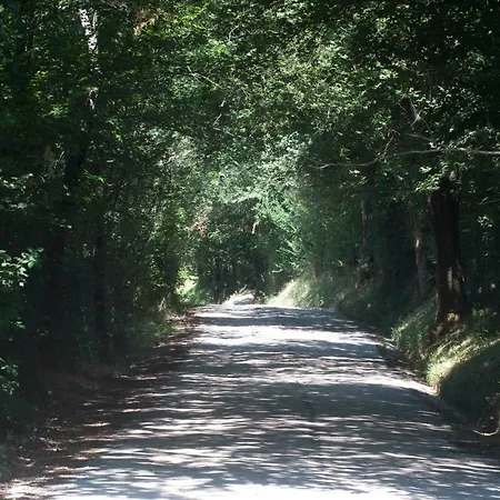 La Cappellania Casa vacanze